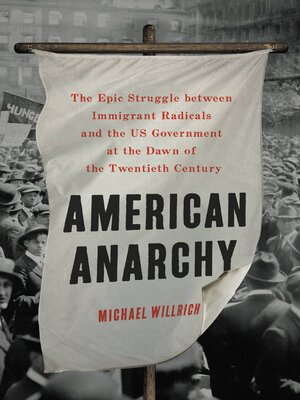 cover image of American Anarchy